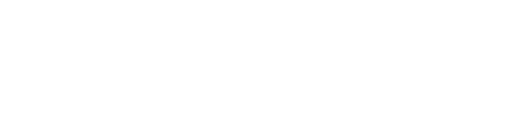LS Retail